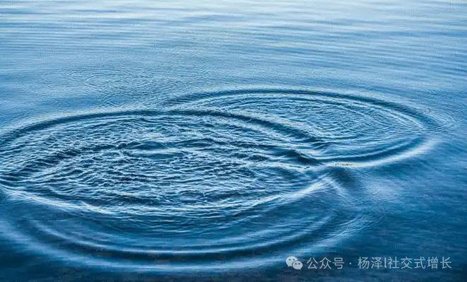 宁弧”凭什么狂割中产20亿昂跑“上海骗局”：一双“李(图3)